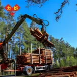 वानिकी तार रस्सी